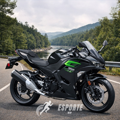Kawasaki Ninja 500 price